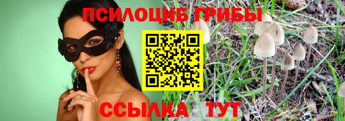 Галлюциногенные грибы Cubensis  Вход с VPN  Шадринск 
