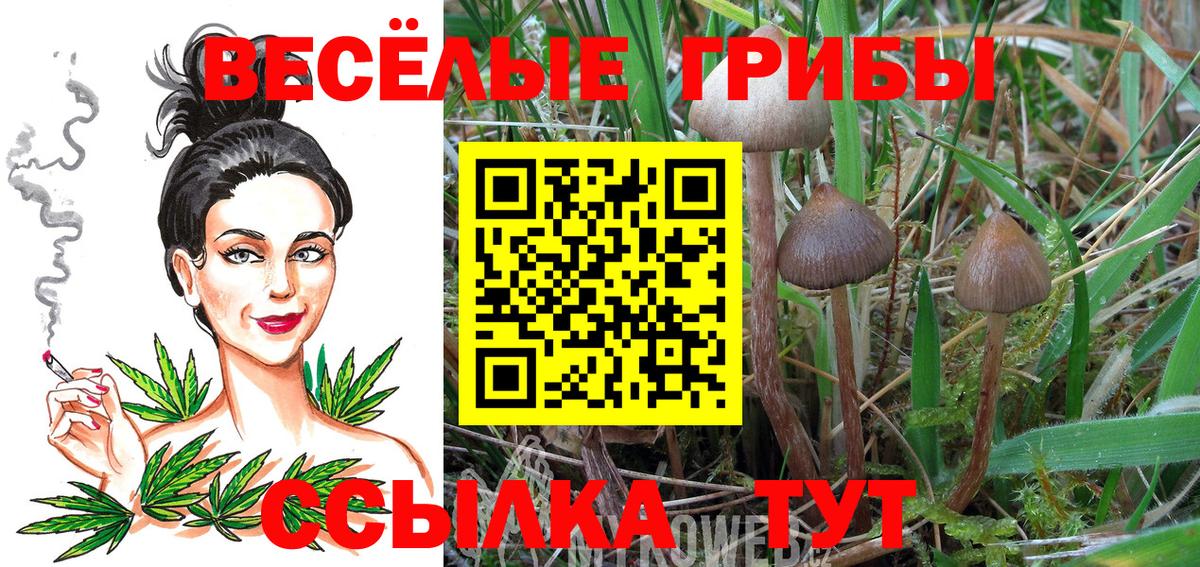Галлюциногенные грибы мухоморы Шадринск